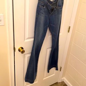Hudson Flare Jeans